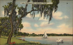 Lake Hollingsworth Lakeland, FL Postcard Postcard Postcard