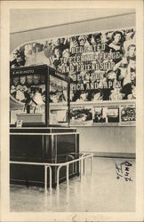 Japanese Pavilion, The Diplomatic Room 1939 NY World's Fair Postcard Postcard Postcard