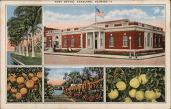 Post Office Postcard