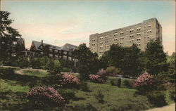 Pocono Manor Inn, "Top of the Poconos" Postcard