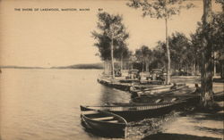 The Shore of Lakewood Madison, ME Postcard Postcard Postcard