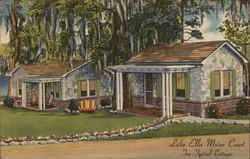 Typical Cottages at Lake Ella Motor Court Tallahassee, FL Postcard Postcard Postcard