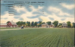 West Tennessee Experimental Station Jackson, TN Postcard Postcard Postcard