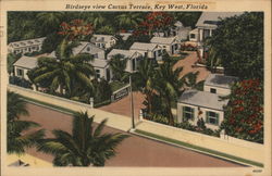 Birdseye View Cactus Terrace Postcard