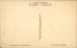 back