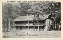 Old Stone Fort, Stephen F. Austin State Teachers College Nacogdoches, TX Postcard Postcard Postcard