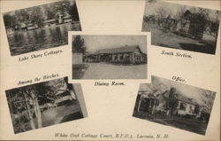 White Owl Cottage Court Laconia, NH Postcard Postcard Postcard