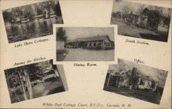 White Owl Cottage Court Postcard