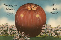 The Apple Capitol Postcard