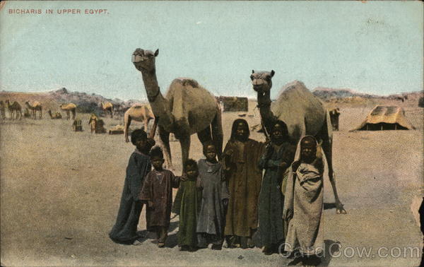 Bicharis in upper Egypt Africa