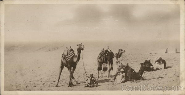 Natives traversing the desert Cairo Egypt Africa