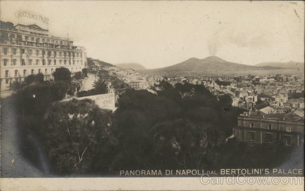 Panorama di Napoli dal Bertolini's Palace Naples Italy