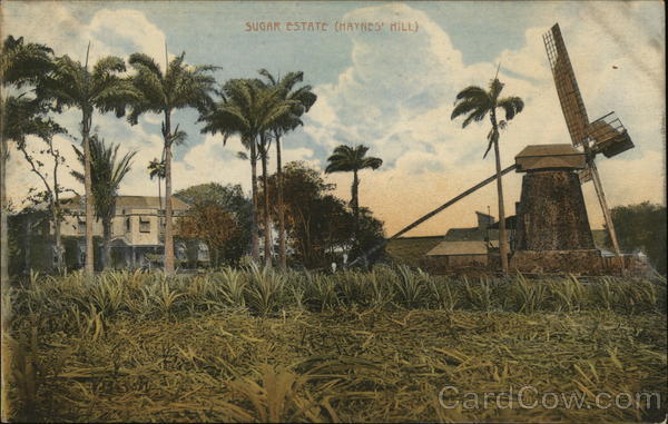 Sugar Estate (Haynes' Hill) Barbados Caribbean Islands