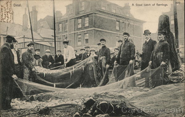 A Good Catch of Herrings Deal England Kent
