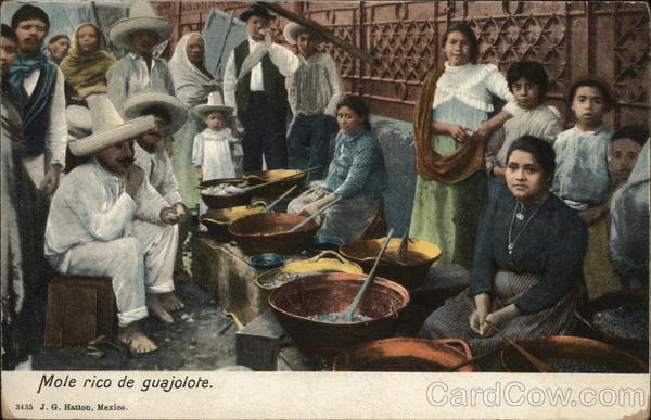 Mole rico de guajolote Mexico