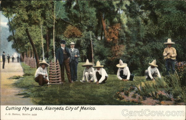Cutting the grass, Alameda, City of Mexico