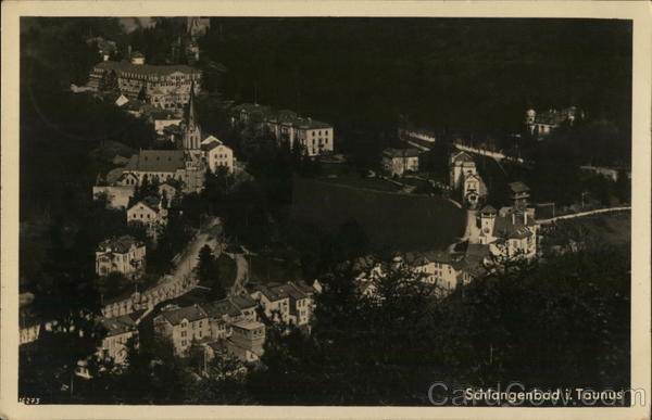 Bird's Eye View of Village Schlangenbad Germany