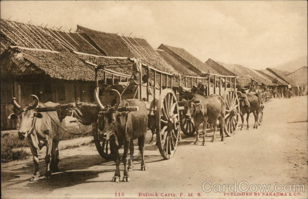 Bullock Carts Japan