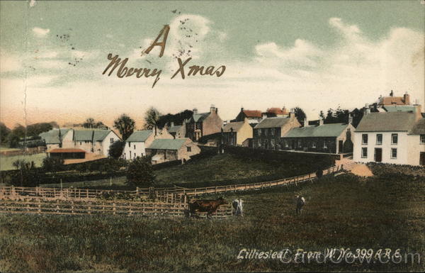 Liliesleaf from w.no.399 A.R.E Johannesburg South Africa