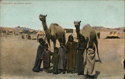 Stock #665035 Thumbnail