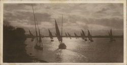 Stock #665048 Thumbnail