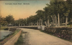 Harrington Sound Road Postcard