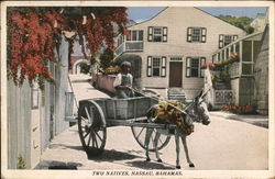 Two Natives, Nassau, Bahamas Postcard