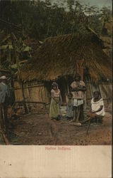 Native Indians Postcard