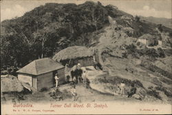 Turner Gall Wood St. Joseph, Barbados Caribbean Islands Postcard Postcard