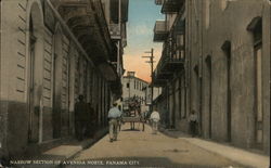 Narrow Section of Avenida Norte Postcard