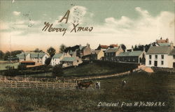 Liliesleaf from w.no.399 A.R.E Postcard