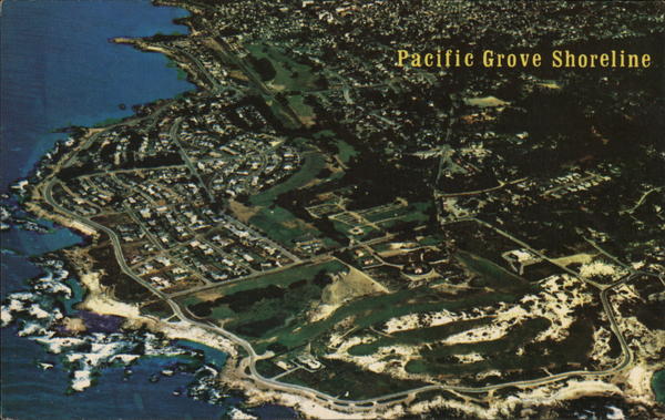 Aeriel View of Pacific Grove Shoreline and Lovers Point California