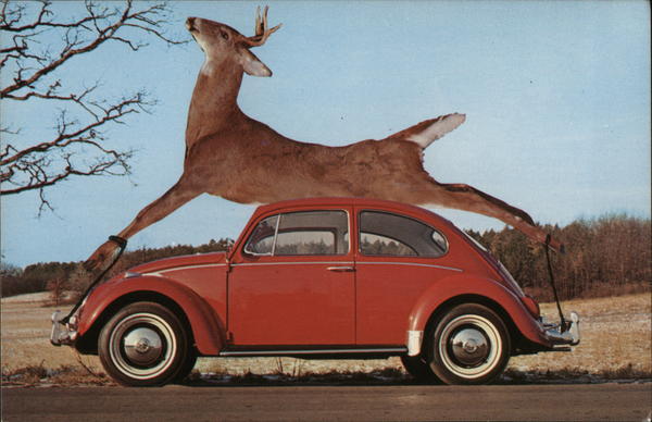 This is REALLY Big Game Country Exaggeration