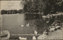 A Corner of the Lake, Verona Park New Jersey Postcard Postcard Postcard