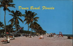 Palm Tree Lined Beach Postcard