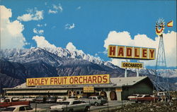 Hadley Fruit Orchards INC. Postcard