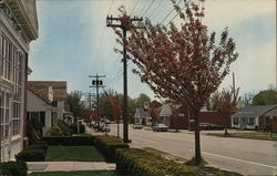 Main Street Cape Cod, MA Postcard Postcard Postcard