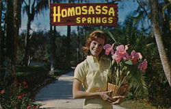 Homosassa Springs Postcard