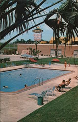 Horne's Motor Lodge Orlando, FL Postcard Postcard Postcard