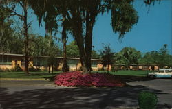 Campus Scene, Jacksonville University Florida Postcard Postcard Postcard