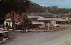 Blue Bird Motel Postcard
