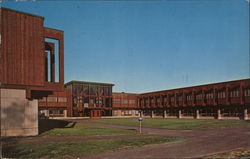 University of Maine Postcard