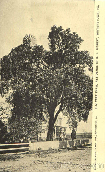 Elm Tree Far Residence Of R. J. Herbst Winterstown Pennsylvania