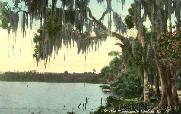 On Lake Hollingsworth Lakeland Florida