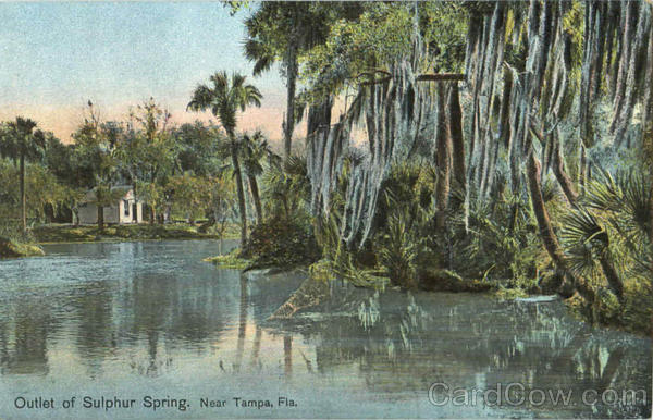 Outlet Of Sulphur Spring Tampa Florida