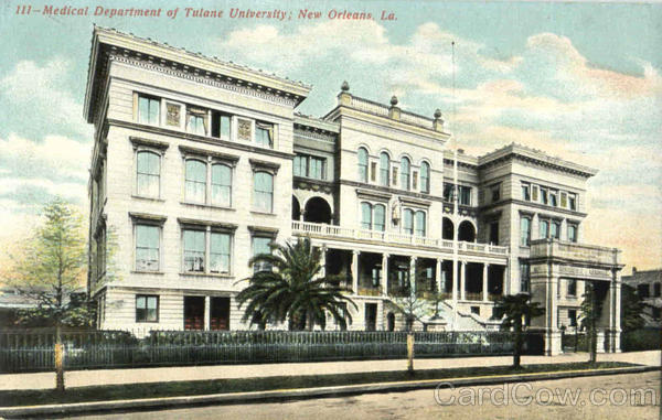 Medical Department Of Tulane University New Orleans Louisiana
