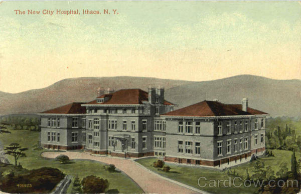 The New City Hospital Ithaca New York
