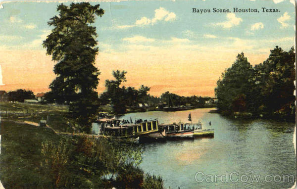 Bayou Scene Houston Texas
