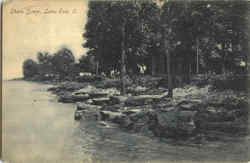 Shore Scene Lake Erie Postcard