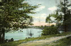 Scene On Cuyahoga River, South Park Postcard